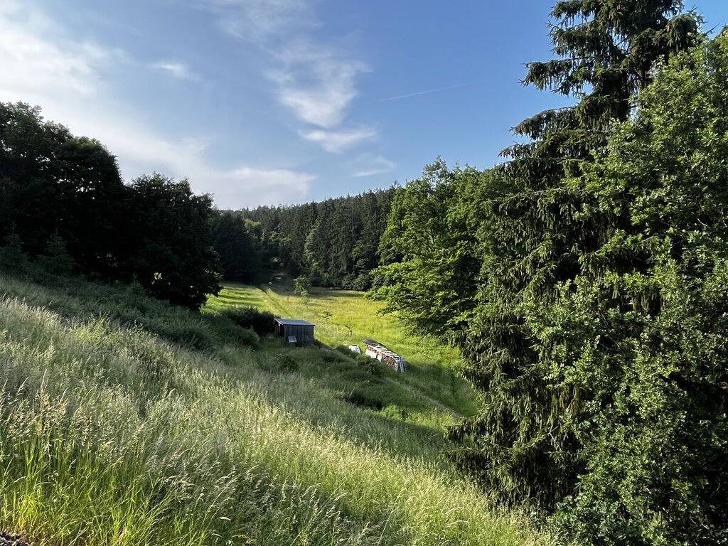 Ferienhaus in Mehren mit Schwimmbecken in Mehren, Vulkaneifel