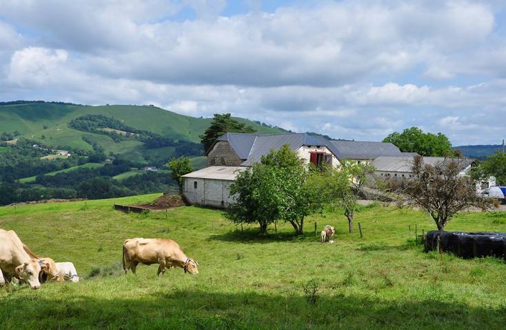 Location de vacances pour 11 personnes, avec terrasse et jardin en Pyrénées-Atlantiques - 3