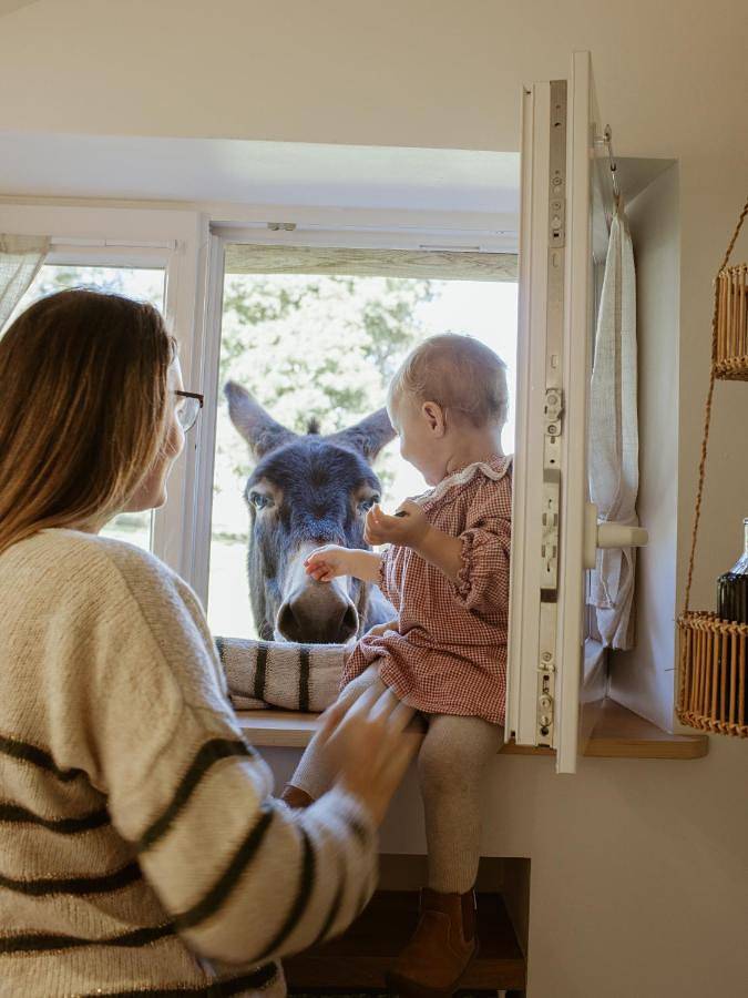 Gîte pour 4 personnes, avec terrasse ainsi que jardin et vue dans Les Hays