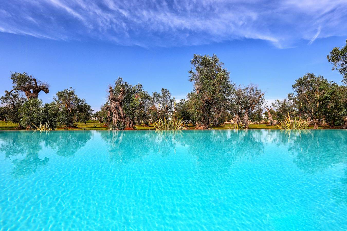 Villa mit Pool zwischen Olivenbäumen in Apulien in Diso, Lecce Provinz