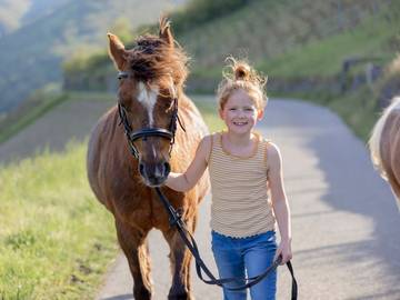 Ferienhaus für 5 Personen in Oberwesel, Mittelrhein, Bild 2