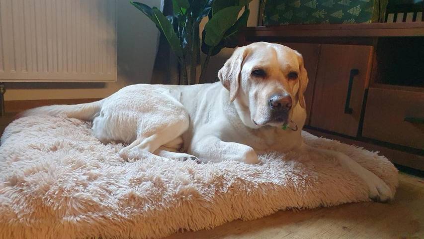 Ferienwohnung für 6 Personen in Isny im Allgäu - 3