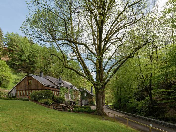 Landgut für 22 Personen, mit Terrasse und Sauna sowie Pool, mit Haustier in Belgien - 4
