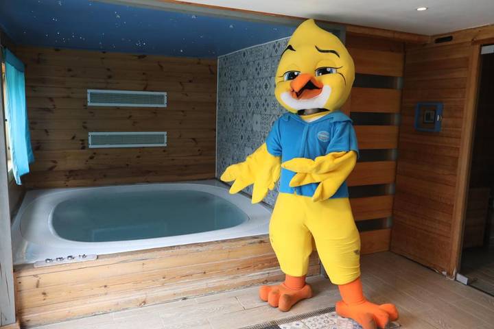 Location de vacances pour 6 personnes, avec sauna et piscine ainsi que terrasse et jacuzzi, animaux acceptés à Moyenneville - 4