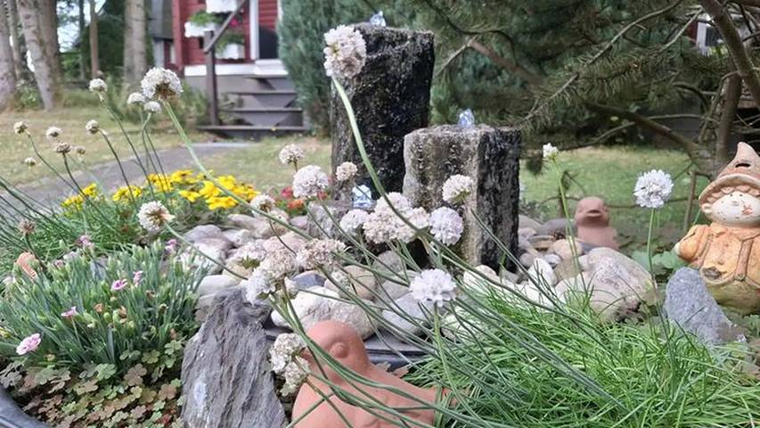 Hütte für 2 Personen, mit Garten in Sachsen-Anhalt - 3