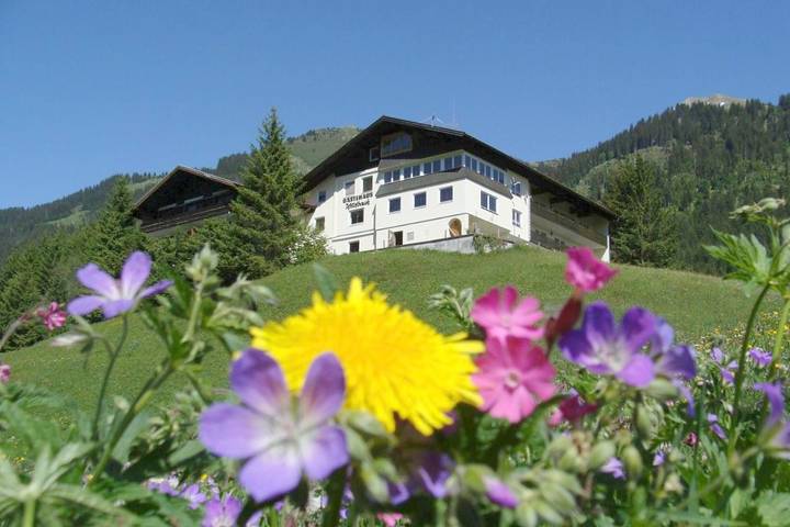 Maison d’hôte pour 2 personnes, avec vue ainsi que jardin et sauna, animaux acceptés à Mittelberg - 2