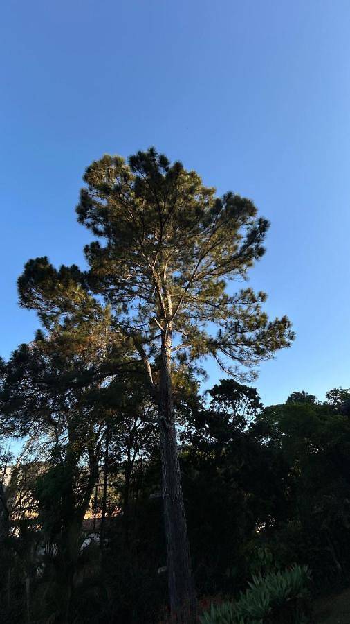 Villa pour 12 personnes, avec vue et jardin ainsi que terrasse et piscine, animaux acceptés dans Região Metropolitana do Rio de Janeiro - 4