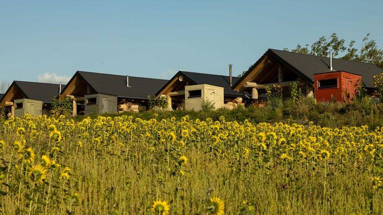 Ferienhaus für 2 Personen (50 m²) in Groß Nemerow in Tollensesee, Groß Nemerow