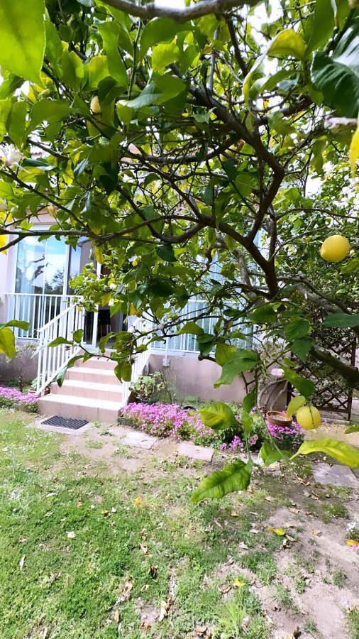 Villa pour 6 personnes, avec jardin à Borgo - 2