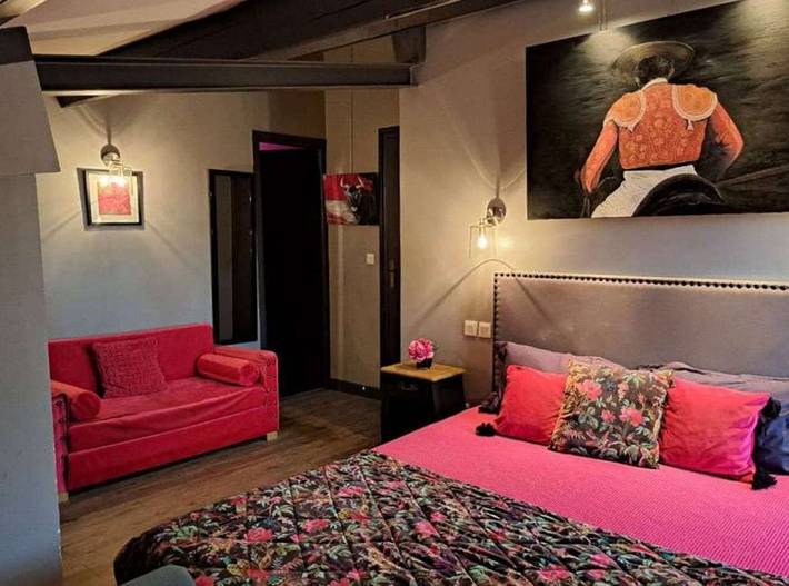 Chambre d’hôte pour 3 personnes, avec Jardin à Florensac