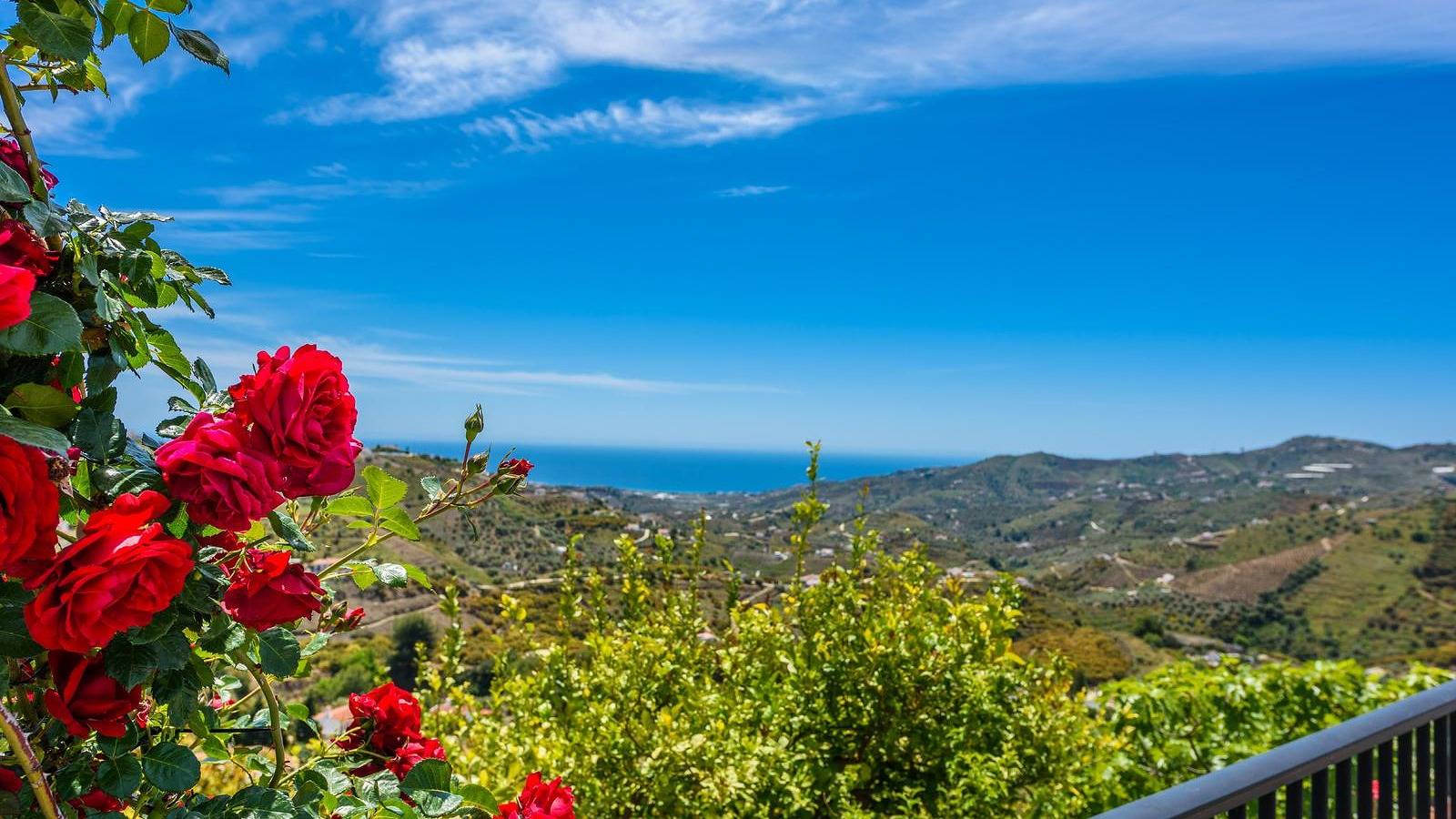 Cortijo Los Naranjos Frigiliana by Ruralidays in Frigiliana, Costa del Sol