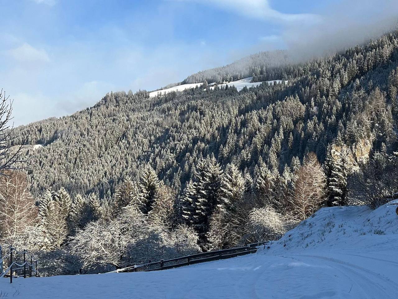 Umundum Hütte - Umundumhütte in Teufenbach-Katsch, Murau (Kreischberg)