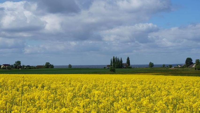 Ferienhaus für 2 Personen, mit Garten in Middelhagen - 4