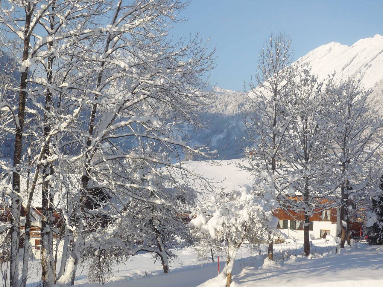 Ganze Ferienwohnung, Ritter Anni - Haus Ritter - Ferienwohnung nebenan in Schoppernau, Bregenzerwald