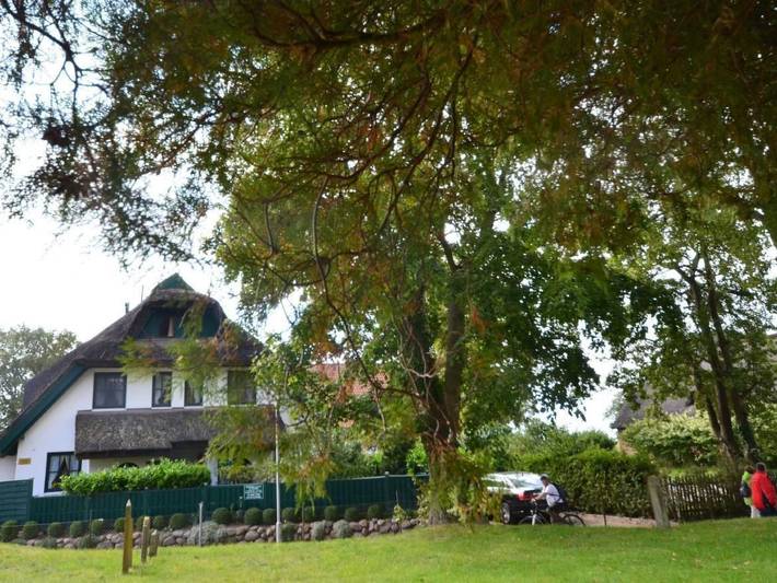 Ferienhaus für 5 Personen, mit Garten, mit Haustier in Groß Zicker - 2