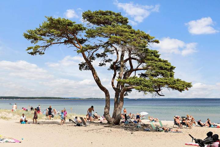 Camping för 4 Personer, med Terass samt Trädgård och Utsikt i Åhus