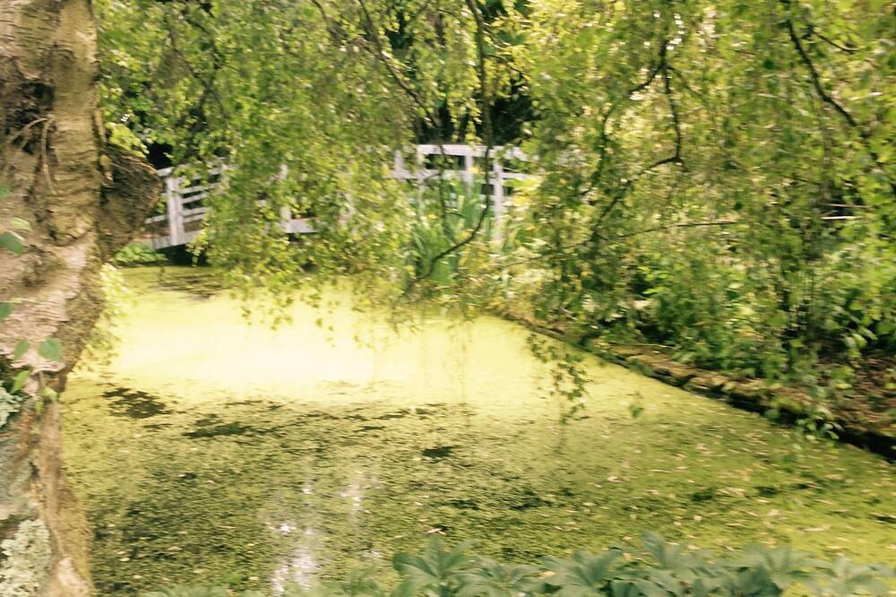 Apartamento entero, Bloomfield Apartments Bath  in Bath, Bath & Somerset Noreste