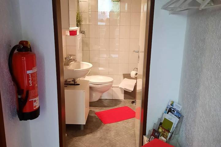 Gîte pour 3 personnes, avec terrasse dans Rudesheim Am Rhein - 4