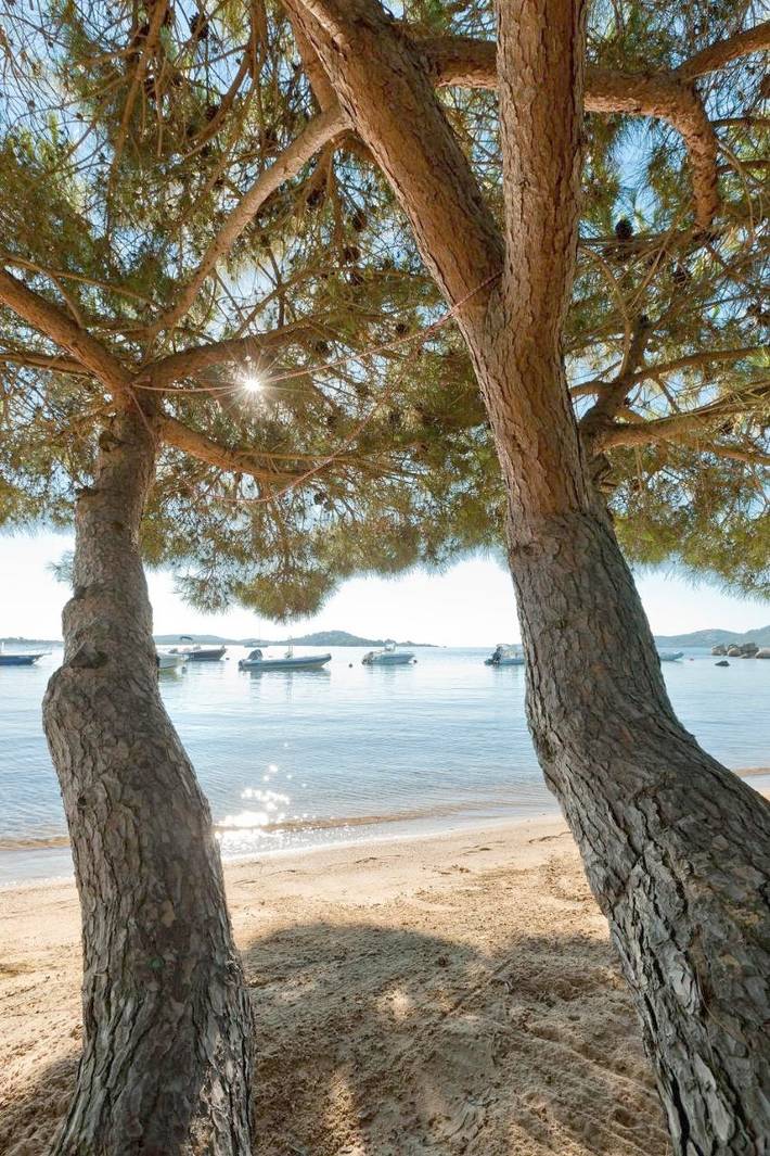Parc de vacances pour 5 personnes, avec jacuzzi ainsi que jardin et piscine, animaux acceptés en Corse-du-Sud - 4