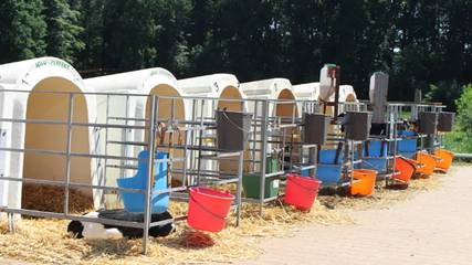 Ferienhaus für 20 Personen in Eggermühlen, Osnabrücker Land, Bild 4