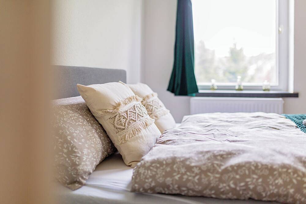 Entire apartment, Boarding & Fitter Apartment Cmtz in Chemnitz, Chemnitz (region)
