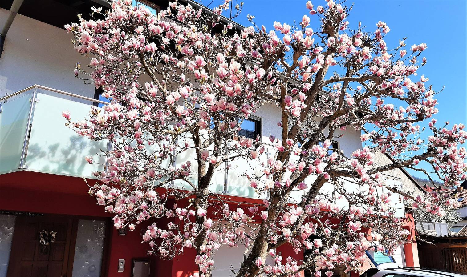 Entire holiday apartment, Apartment, shower or bath, toilet, balcony in Ockfen, Landkreis Trier-Saarburg