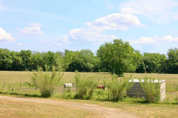 Tente pour 5 personnes, avec vue et jardin dans les Bouches-du-Rhône - 3