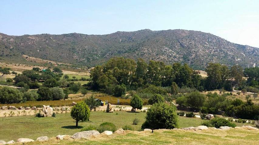 Chambre d’hôte pour 2 personnes, avec jardin et vue, animaux acceptés à San Teodoro - 2