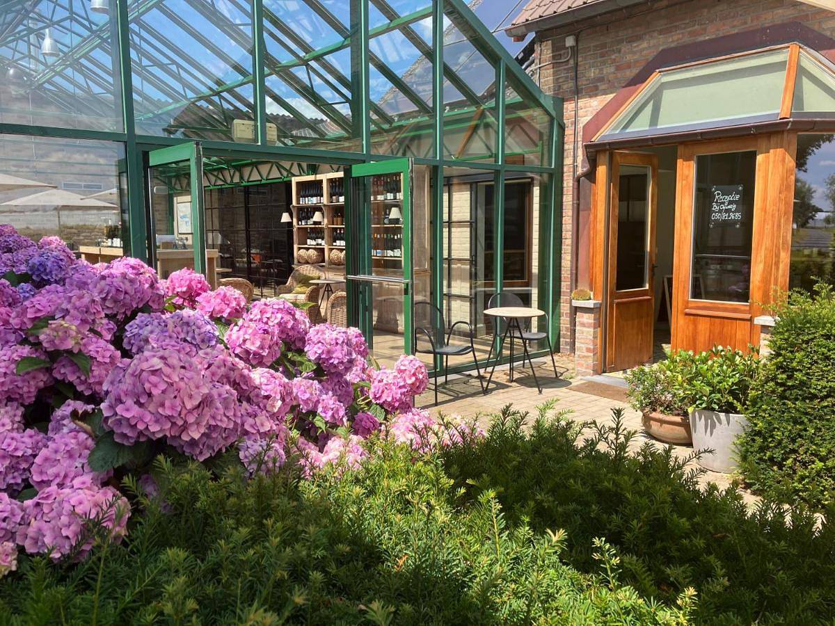 Tannine et Cuisine in Jabbeke, Flandre-Occidentale