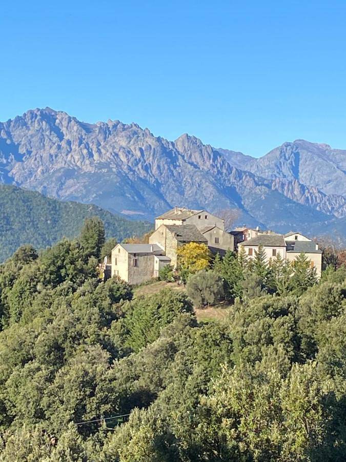 Chambre d’hôte pour 4 personnes, avec vue ainsi que jardin et terrasse, animaux acceptés
