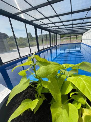 Ferienhaus für 8 Personen, mit Pool und Ausblick sowie Sauna und Garten, mit Haustier in Niederschlesien