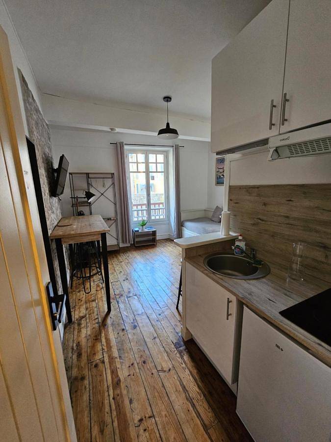 Appartement entier, Le Henri Iv - hyper centre - quartier du château in Pau, Béarn