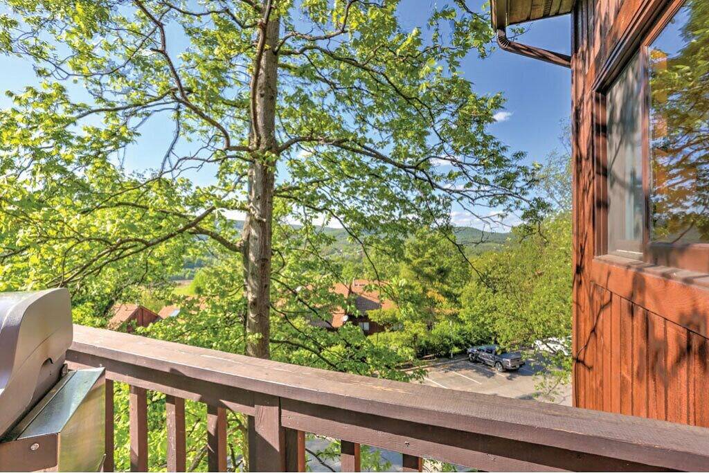 Ganze Wohnung, Mtn Creek Resort Condo - Mountain Bike, Hike, Golf, Swim, Legoland, Nyc 1 Hour in Mountain Creek