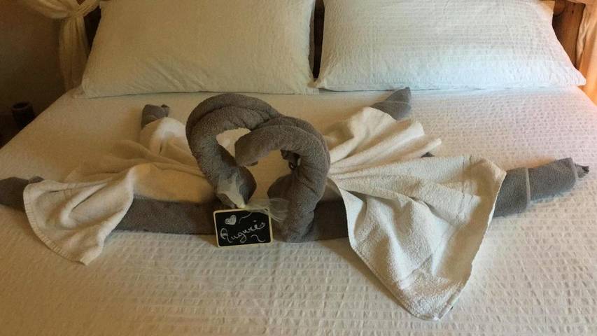 Maison d’hôte pour 4 personnes, avec vue et jardin, adapté aux familles à Fiumicino - 3