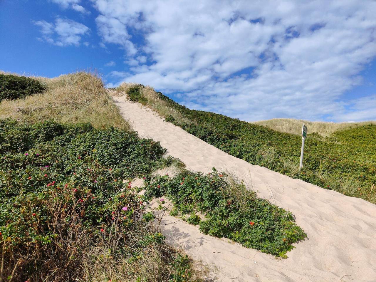 5 person ferie hjemme i Ringkøbing in Lodbjerg Hede, Ringkøbing