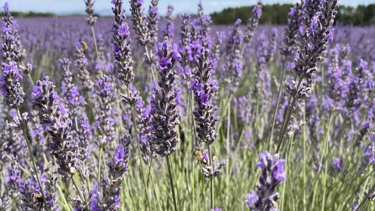 Apartamento vacacional entero, Ferienwohnung für 6 Personen (100 m²) in Brunet in Brunet, Alpes de Alta Provenza