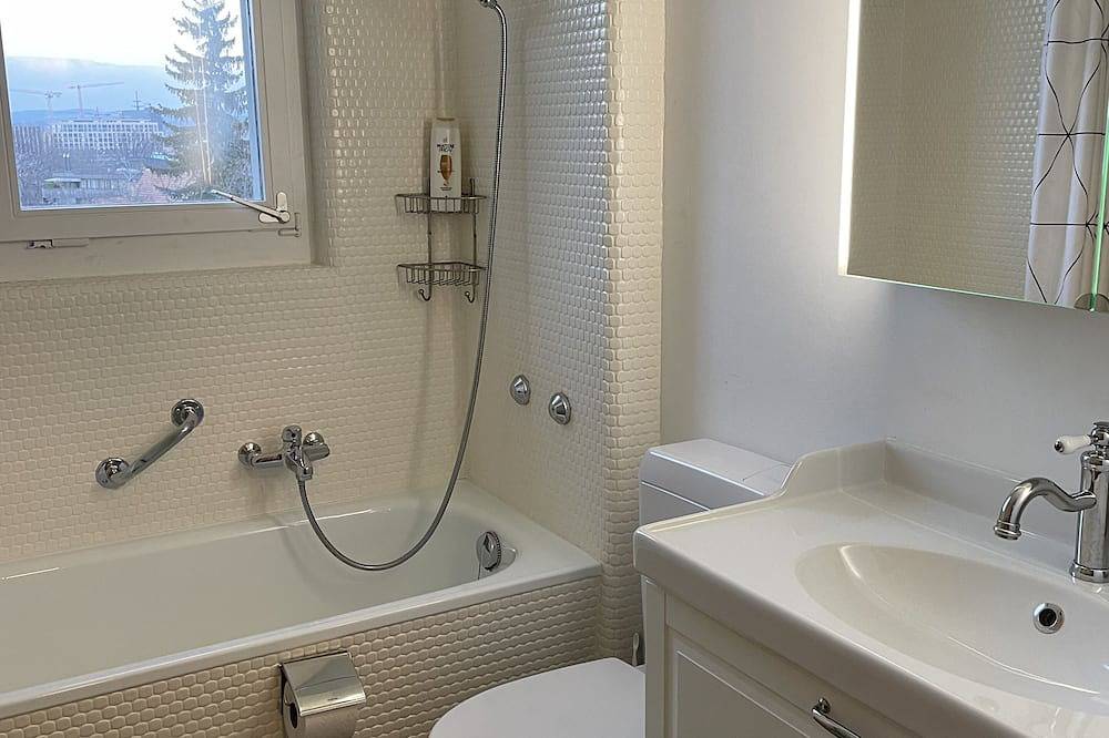 Ganze Wohnung, Studio mit Doppelbett, Küche und Bad/Wc in Zürich, Bezirk Zürich