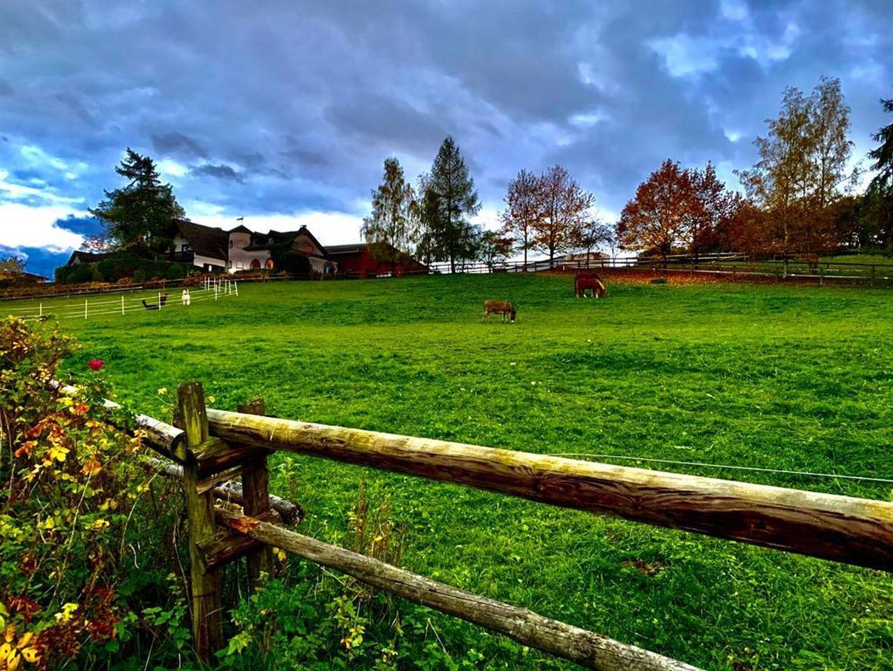 Ganze Ferienwohnung, Landgut Pfauenhof - Ferienwohnung Eifelcottage in Utzerath, Vulkaneifel