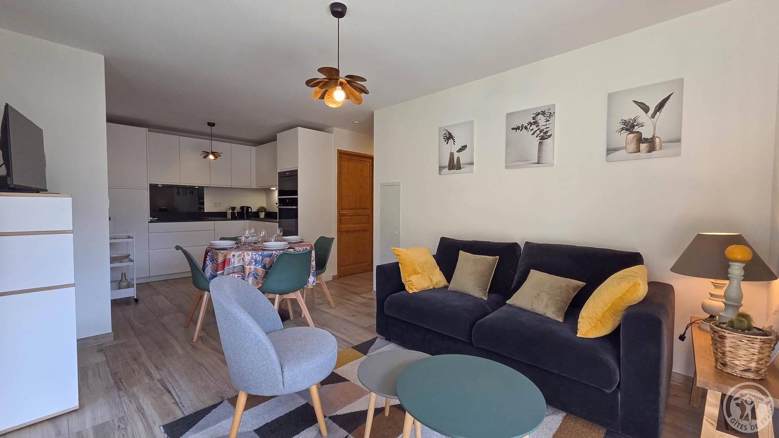 Les Asters in Loudenvielle, Pyrénées