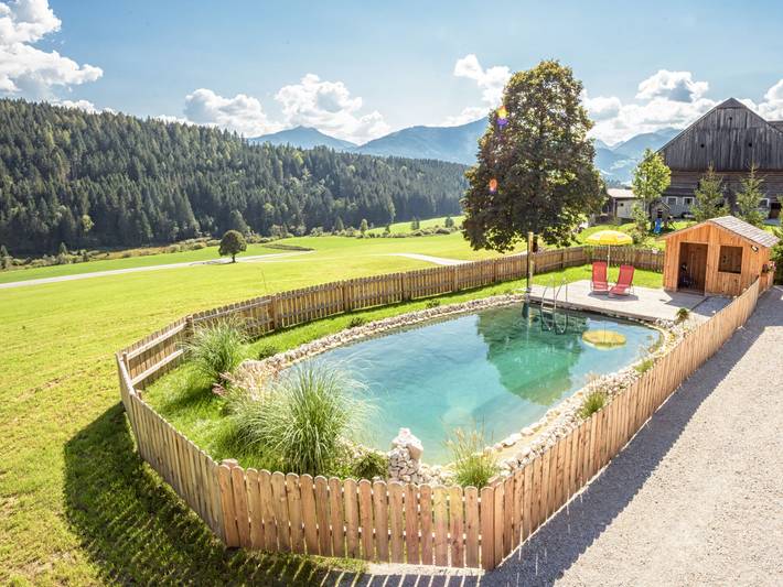 Chalet für 18 Personen, mit Garten und Sauna sowie Terrasse in der Steiermark - 3
