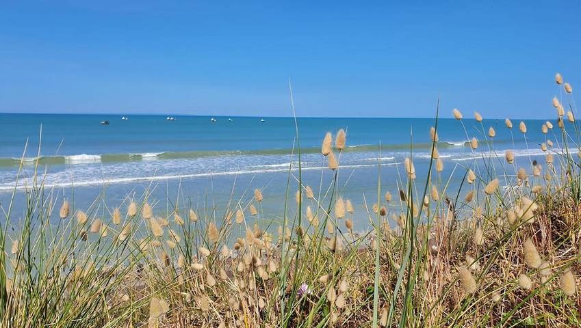 Location de vacances pour 3 personnes, avec jardin à Pirou - 2