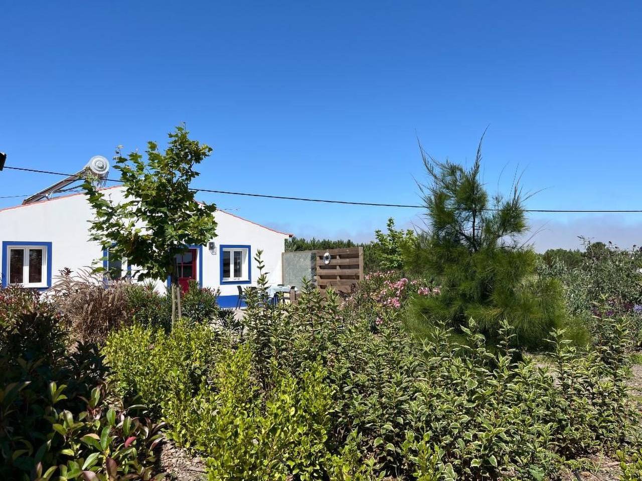 Auf dem Lande in der Nähe des Strandes in Rogil, Naturpark Südwest-Alentejo und Costa Vicentina
