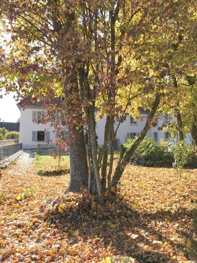 Manoir de la Côte-Dieu in Porrentruy 2 Chaumont, Porrentruy