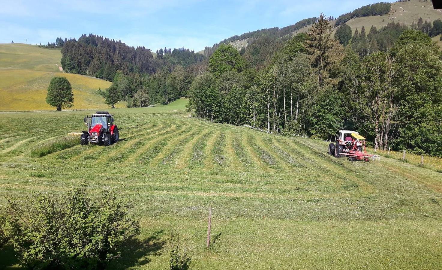 Ganze Ferienwohnung, Ferienwohnung Buchensteinwand in Hochfilzen, Kitzbüheler Alpen