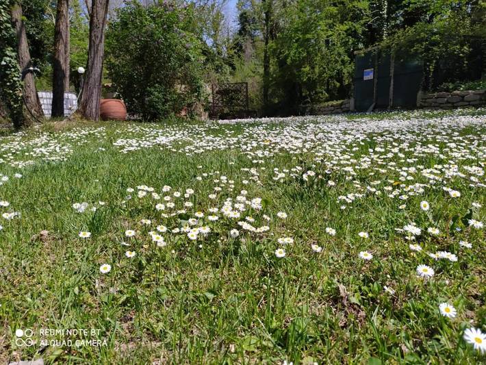 Location de vacances pour 6 personnes, avec jardin et vue, adapté aux familles à Pennabilli - 3