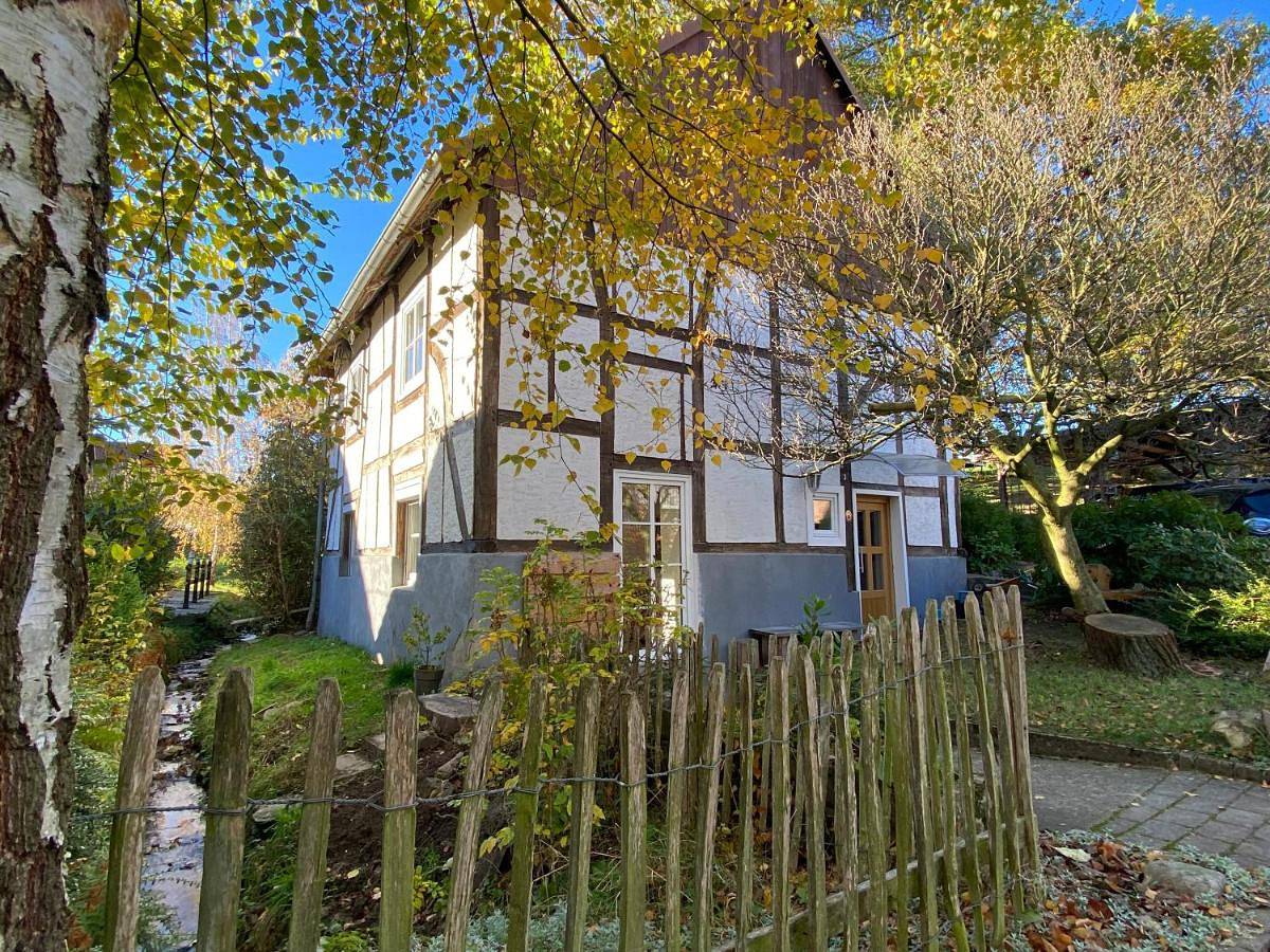 Gemütliches Ferienhaus im Extertal/ Lippe in Extertal, Kreis Lippe