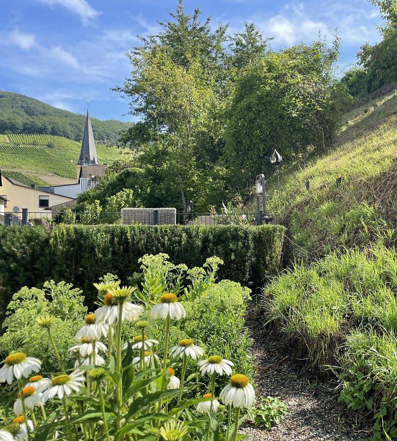 Ferienpension bei Stenze inklusive kostenlosem regionalem Nahverkehr in Senheim, Cochem-Zell