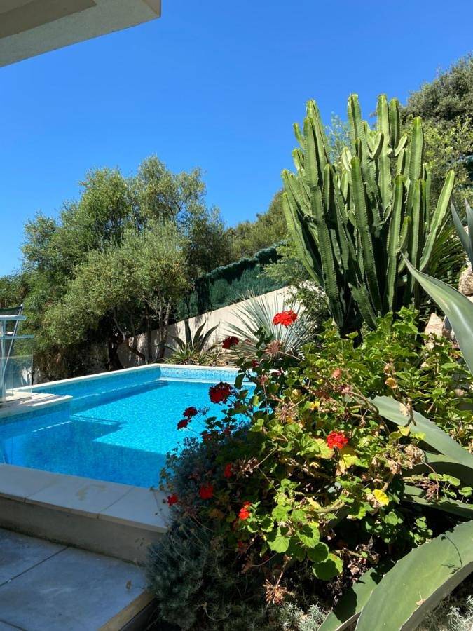 Villa pour 12 personnes, avec piscine ainsi que jacuzzi et balcon à Ajaccio - 2
