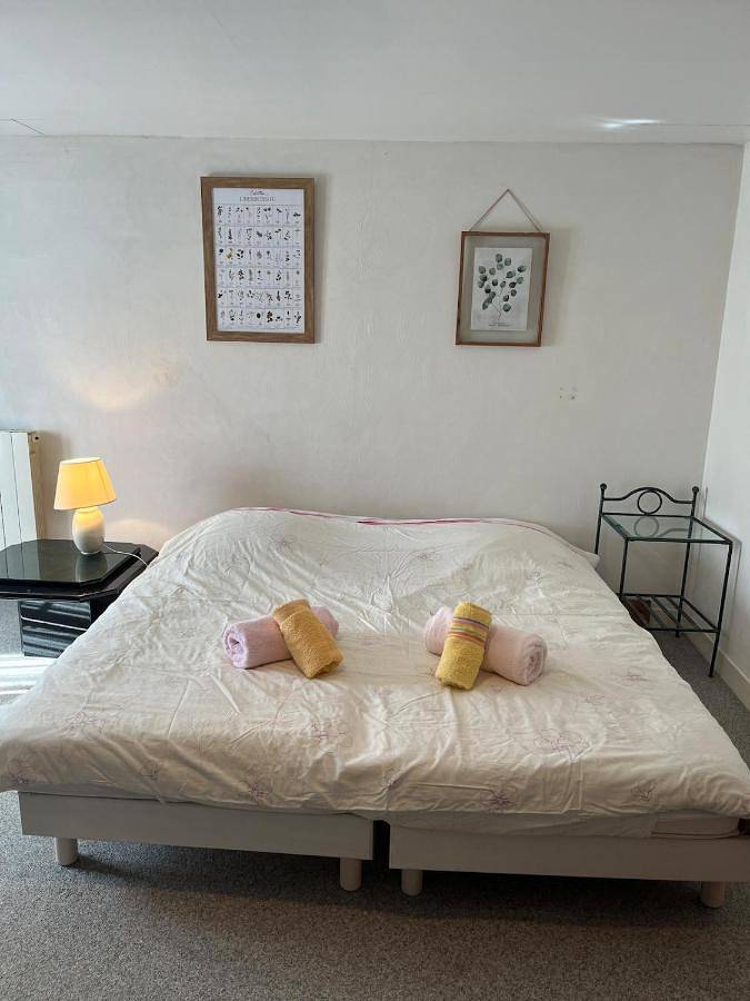 Location de vacances pour 7 personnes, avec jardin et piscine à Faux (Dordogne) - 3