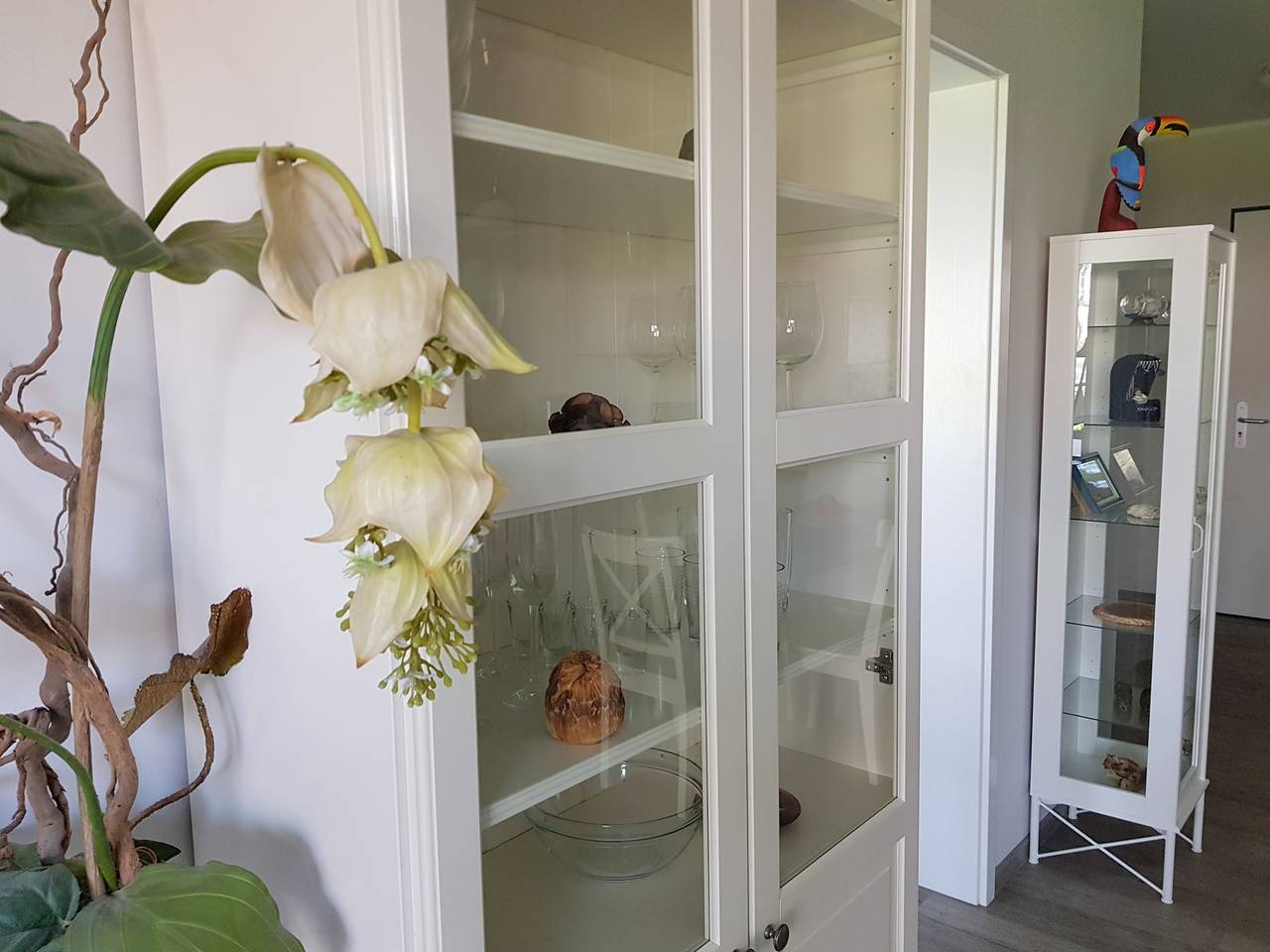 Ganze Ferienwohnung, App.36 in Dierhagen Strand, Dierhagen